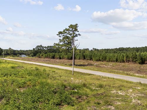 Black Creek 2.27 Homesite : Nichols : Horry County : South Carolina