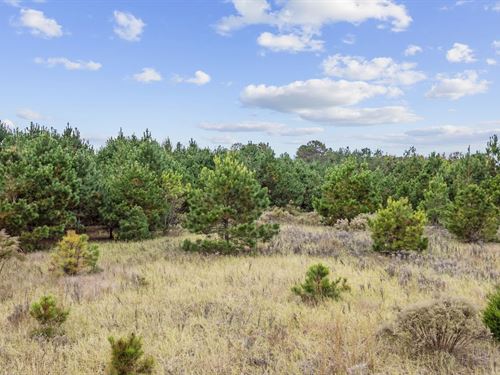 Creek Landing Homesite : Loris : Horry County : South Carolina