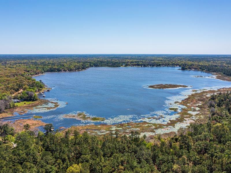 .23 Acres in Georgetown, FL $199/Mo : Georgetown : Putnam County : Florida