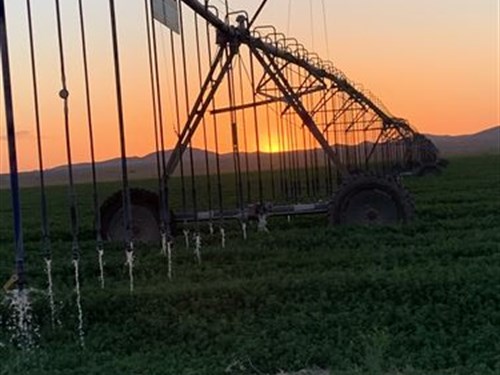 Quality High Desert Farm : McNeal : Cochise County : Arizona