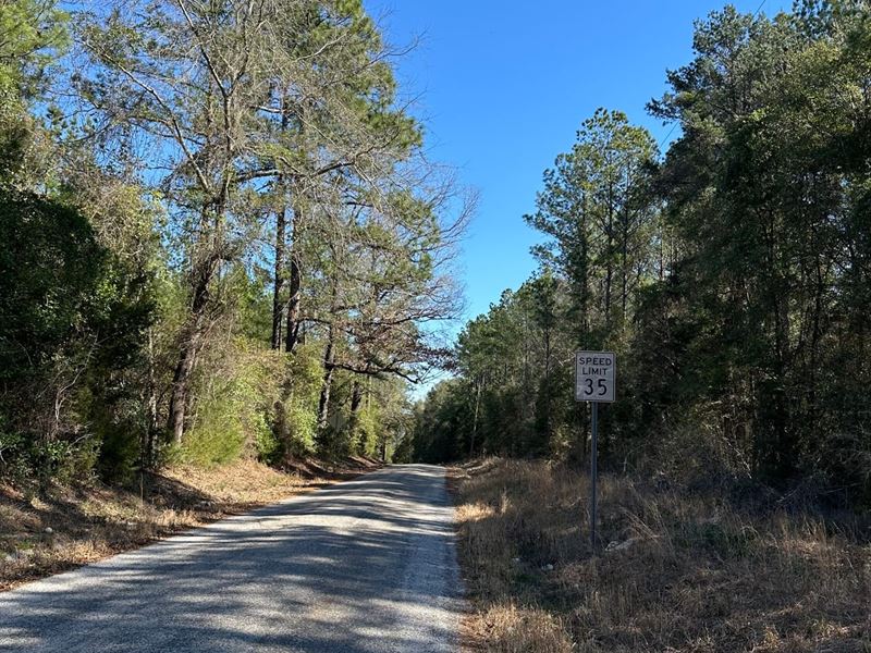 21 Ac Hwy 84 : Evergreen : Conecuh County : Alabama