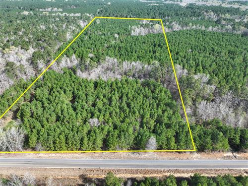 27.8 Acres, T-1, LA 168 Rodessa : Rodessa : Caddo Parish : Louisiana