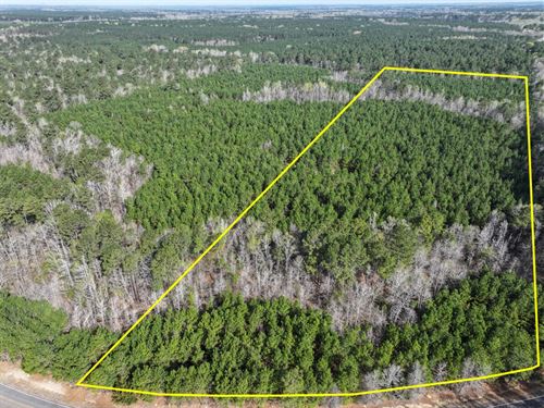 25 Acres, T-2, LA 168 Rodessa St : Rodessa : Caddo Parish : Louisiana