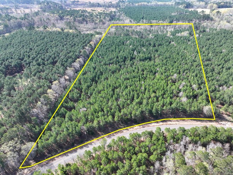 21.5 Acres, T-3, LA 168 Rodessa : Rodessa : Caddo Parish : Louisiana