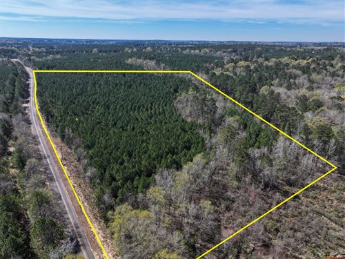 27.1 Acres, T-8, United Gas Road : Rodessa : Caddo Parish : Louisiana