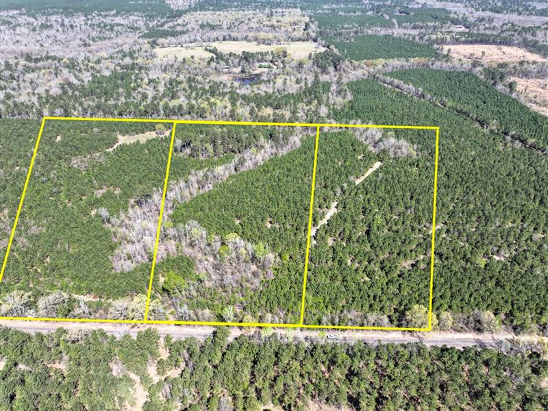 17.2 Acres, T-11, United Gas Road : Rodessa : Caddo Parish : Louisiana