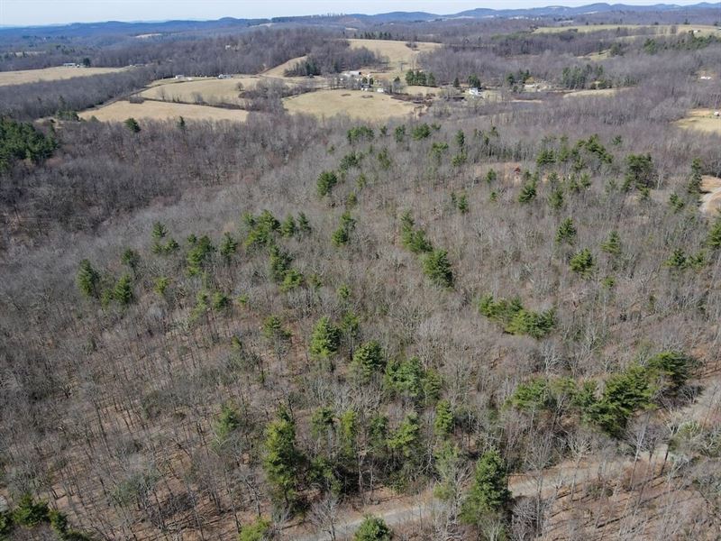 4.9 Acres of Rural Residential : Meadows Of Dan : Danville County : Virginia