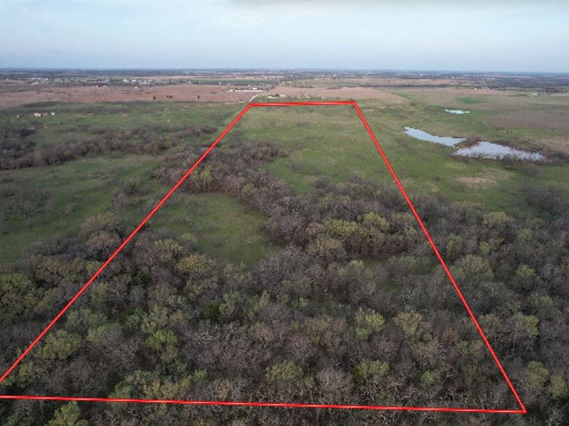 41 Acres Nocona, TX : Nocona : Montague County : Texas