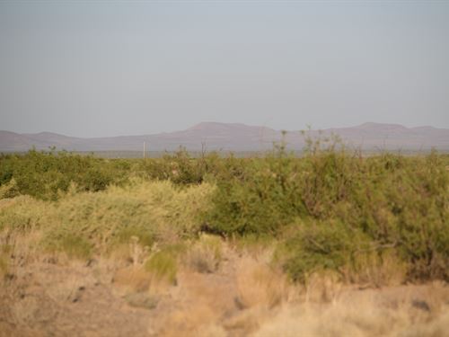 Own NM Dirt, $79 Down, 0.5 Ac : Deming : Luna County : New Mexico