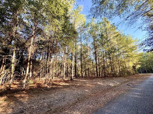 Excellent Building Lot : Jeffersonville : Twiggs County : Georgia