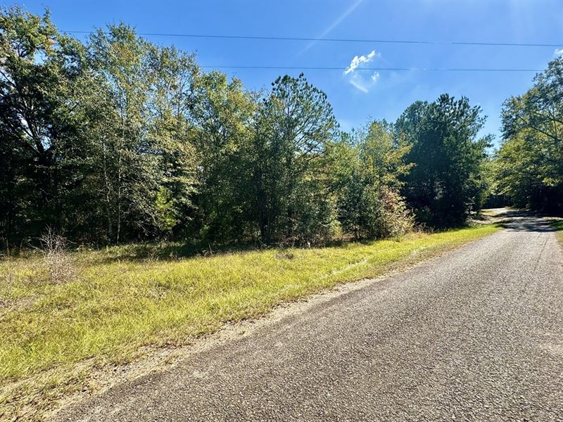 Beautiful Rural Building Lot : Jeffersonville : Twiggs County : Georgia