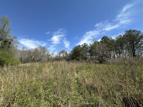 County Road 47 Lot 2 Pike Co. AL : Goshen : Pike County : Alabama