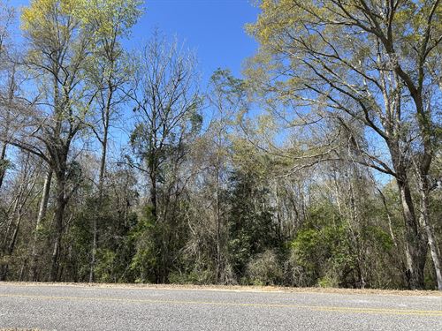 County Road 47 Lot 3 Pike Co. AL : Goshen : Pike County : Alabama