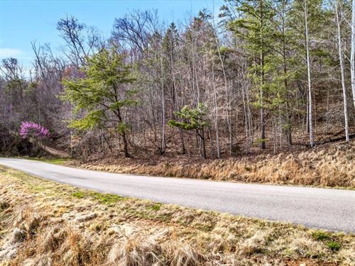 Lot with Norris Lake Access : New Tazewell : Claiborne County : Tennessee