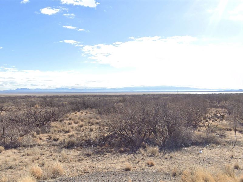 Quiet Property Next To The Playa : Cochise : Cochise County : Arizona