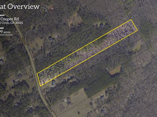 10+ Private Acres : Social Circle : Newton County : Georgia