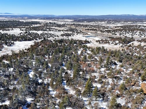Get Off The Grid : Los Ojos : Rio Arriba County : New Mexico