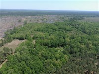 40 Acres in Lafayette County, AR : Bradley : Lafayette County : Arkansas