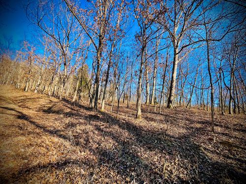 Off-Grid Lot in Gated Forbes Lake : Edwards : Benton County : Missouri