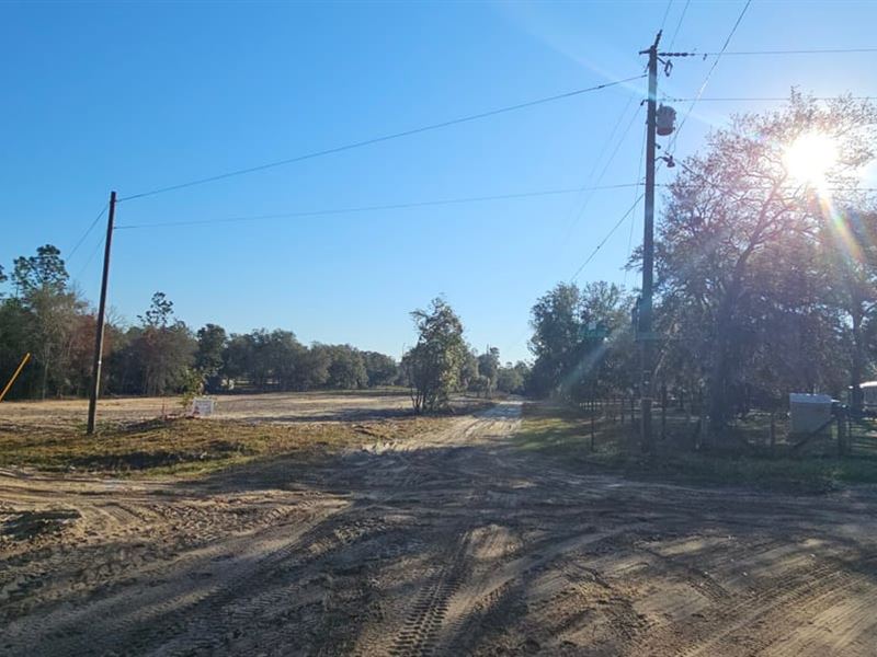 Vacant Lot in Bronson, FL : Bronson : Levy County : Florida