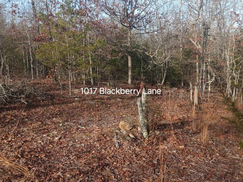 Private Ozark Hideaway : Horseshoe Bend : Izard County : Arkansas