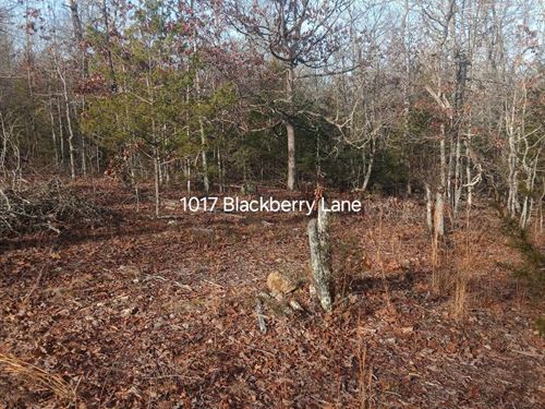 Private Ozark Hideaway : Horseshoe Bend : Izard County : Arkansas