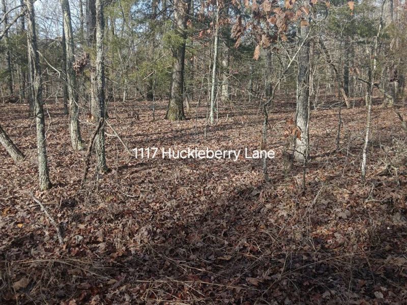 Off Grid Adventure Lot, Hidden Gem : Horseshoe Bend : Izard County : Arkansas