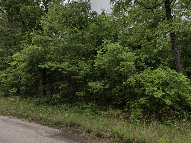 Doggie Lovers Lot : Horseshoe Bend : Izard County : Arkansas