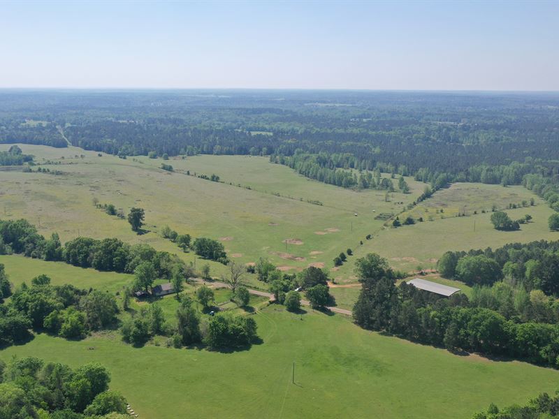 255 Ac in Anderson Co, Tx, No HOA : Palestine : Anderson County : Texas