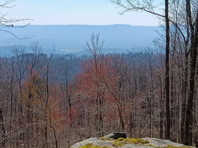 Bluff Views, Wooded, Level : Pikeville : Bledsoe County : Tennessee