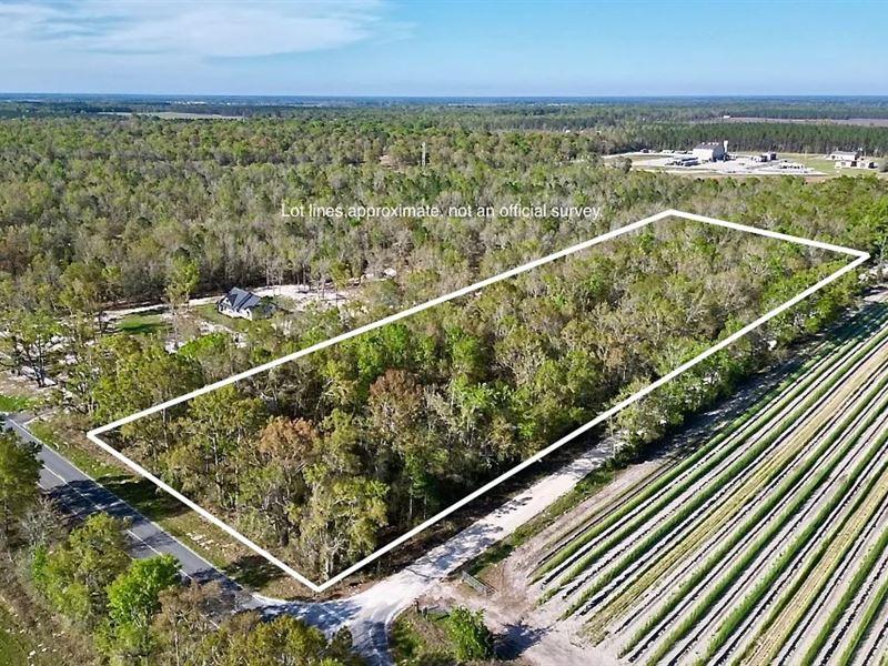 4.7 Acre Lot with Power on CR 49 : O'brien : Suwannee County : Florida