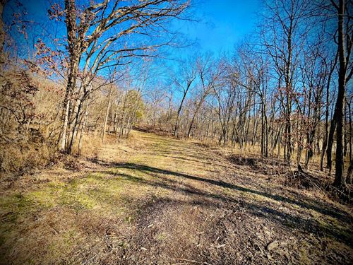 Perfect for Outdoor Activities : Edwards : Benton County : Missouri