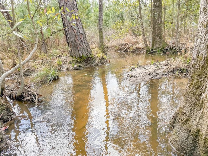 41 Acres with Creek, Timber, Good : Bonifay : Holmes County : Florida