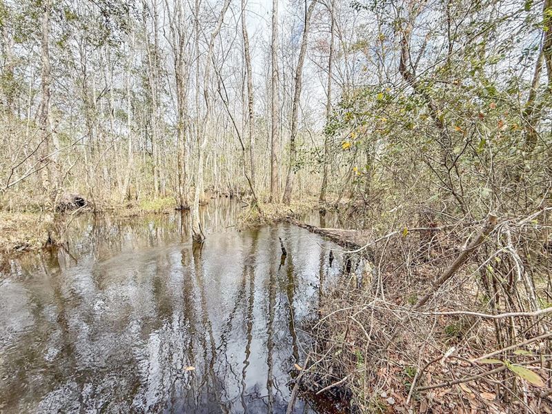79 Ac Wooded Homesite with Creek : Bonifay : Holmes County : Florida