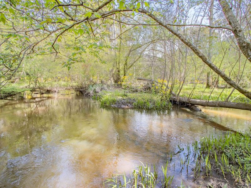 212 Ac Hunting with Creeks, Big Har : Graceville : Jackson County : Florida