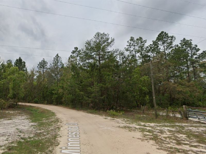 Buy Dirt, Get Rich $199 Down to Own : Satsuma : Putnam County : Florida