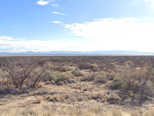 .49 Acre Tranquil Desert Oasis : Cochise : Arizona