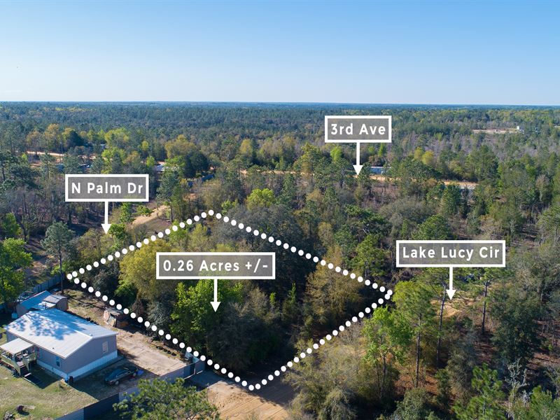 Peaceful Lot with Lake View : Interlachen : Putnam County : Florida