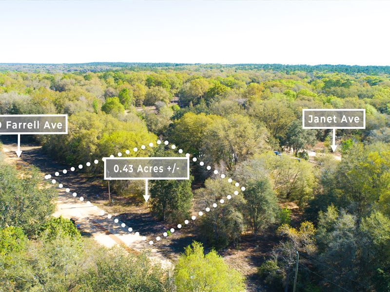 Beautiful Spacious Lot : Interlachen : Putnam County : Florida