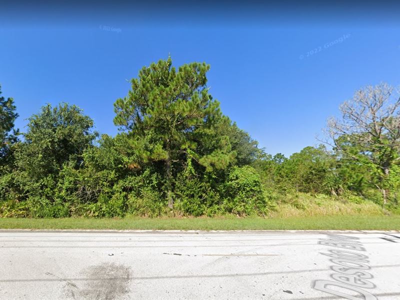 Build, Invest, Relax, $258/Month : Sebring : Highlands County : Florida