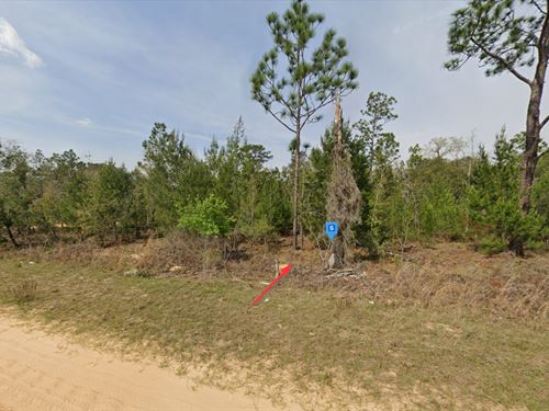 Lot in Interlachen, Fl, $175/Mo : Interlachen : Putnam County : Florida