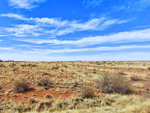 Own 40 Acres Land for $395 Down : Sun Valley : Navajo County : Arizona