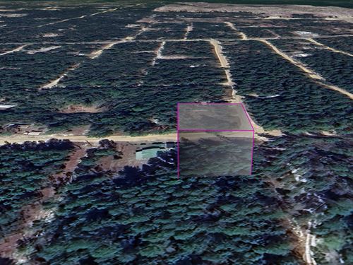 Florahome, $311/Mo : Florahome : Putnam County : Florida