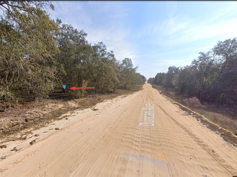 Interlachen, FL, $214/Mo : Interlachen : Putnam County : Florida