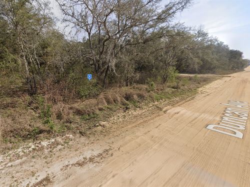 Lot in Interlachen, Florida $218/Mo : Interlachen : Putnam County : Florida