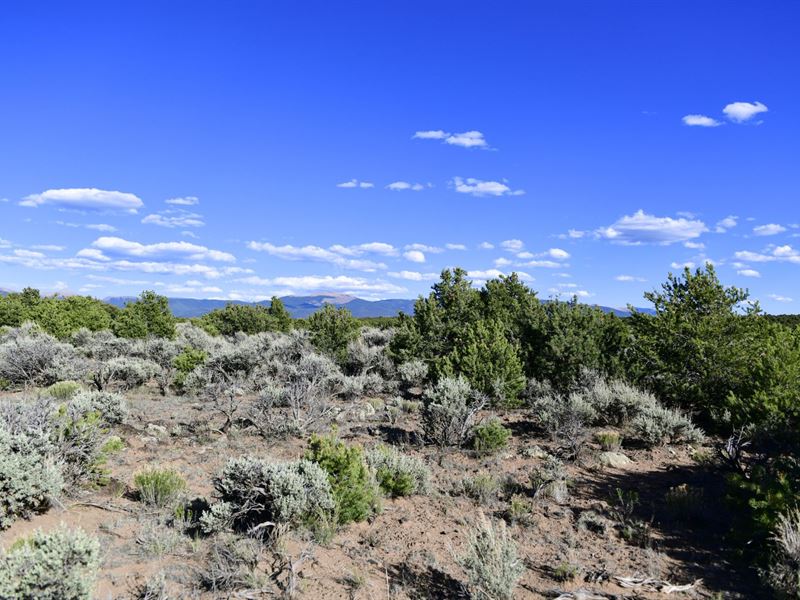 Mountain Views and Desert Vibes : San Luis : Costilla County : Colorado
