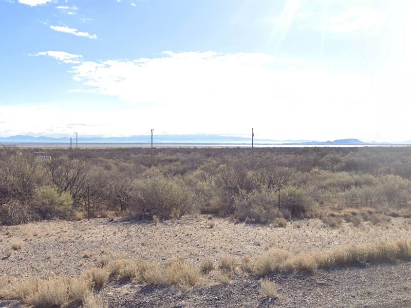 Secluded 0.37 Ac for Nature Lovers : Cochise : Cochise County : Arizona