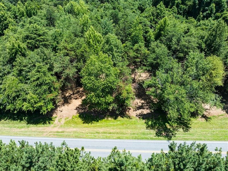 4.50-Acre Homesite Lot for Sale : Pelham : Caswell County : North Carolina