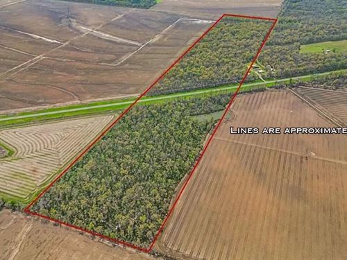 Affordable Deer/Duck Combination : Clayton : Concordia Parish : Louisiana