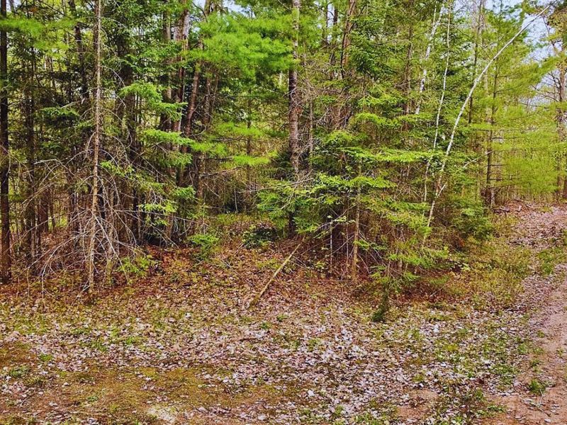 Prime Corner Lot in Garrison $275/M : Garrison : Mille Lacs County : Minnesota